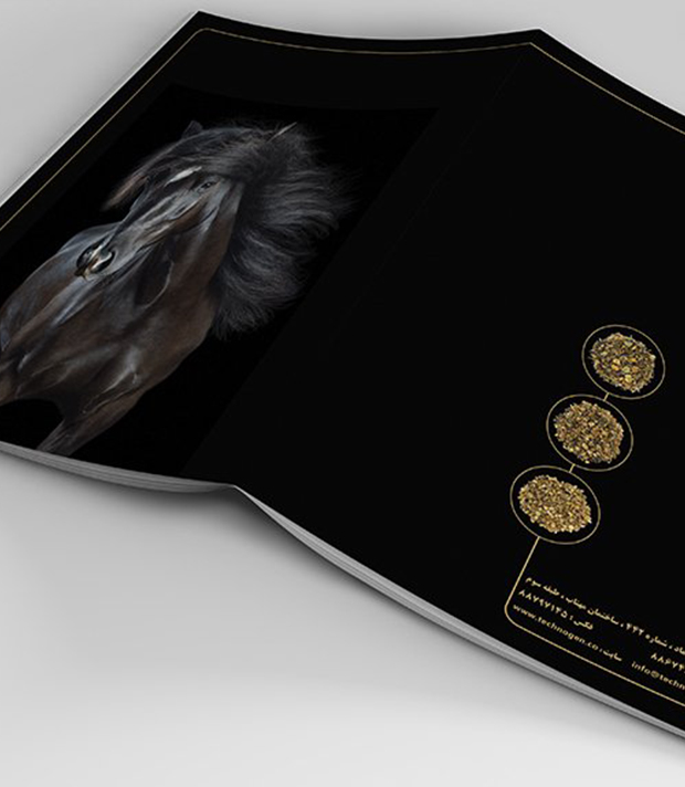 کاتالوگ شرکت تکنوژن